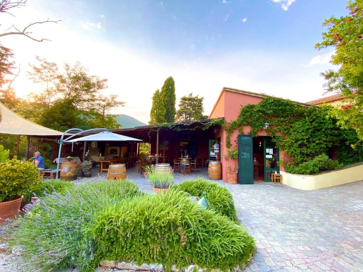 Agriturismo Terenzana Aparthotel Riparbella Buitenkant foto