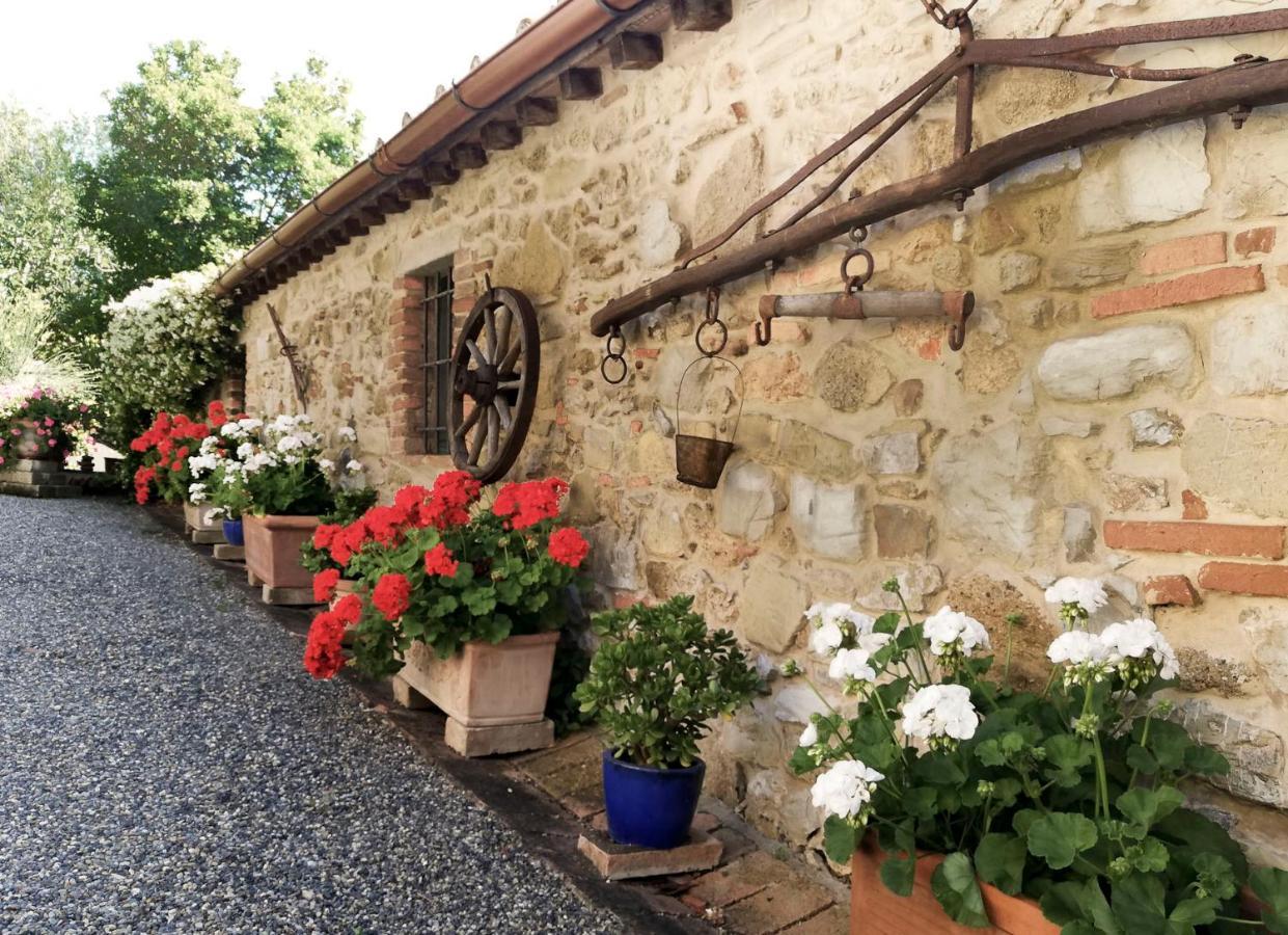 Agriturismo Terenzana Aparthotel Riparbella Buitenkant foto