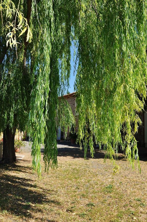 Agriturismo Terenzana Aparthotel Riparbella Buitenkant foto